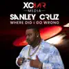 Sanley Cruz - Where Did I Go Wrong - Single