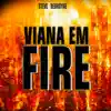 Steve Debroyne - Viana em Fire